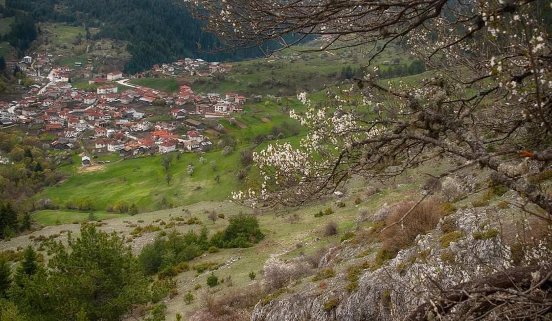 יאגודינה Вила Здравец מראה חיצוני תמונה
