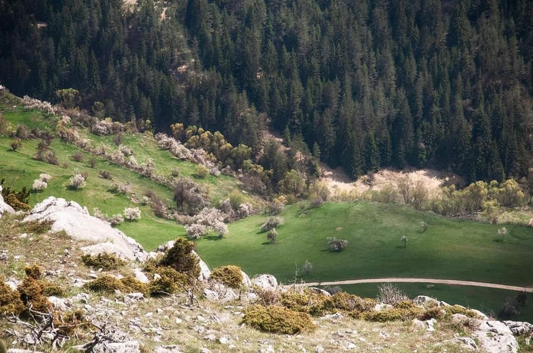 יאגודינה Вила Здравец מראה חיצוני תמונה